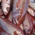 Sustainable Fishing Practices at Seafood Festivals in Fulton County, GA