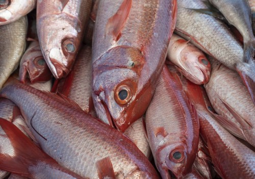 Sustainable Fishing Practices at Seafood Festivals in Fulton County, GA